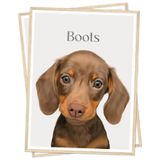 Custom Pet Portrait