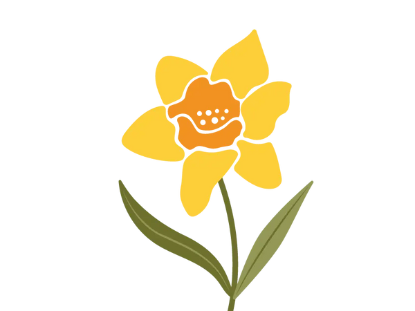 Daffodil