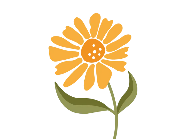 Daisy