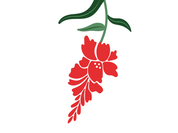 Gladiolus