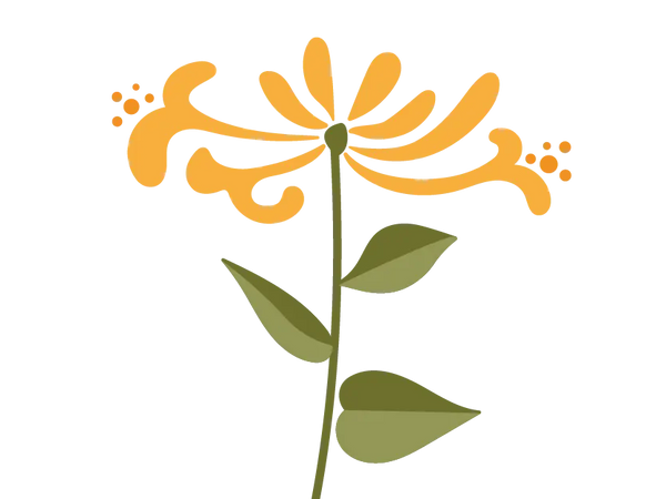 Honeysuckle