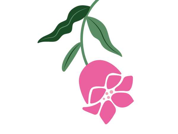 Lily of the Valley