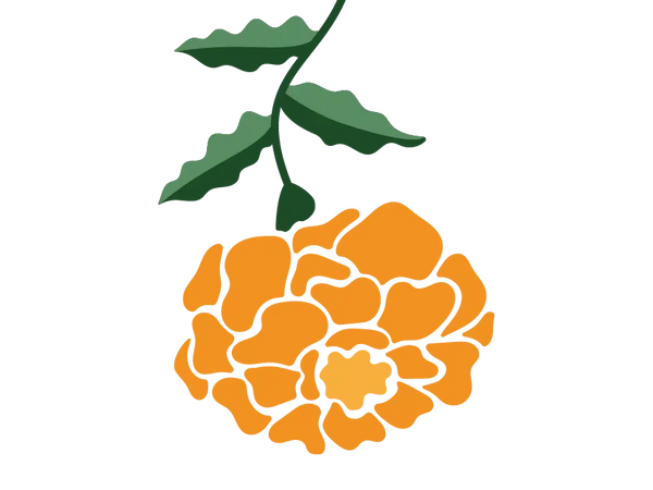Marigold