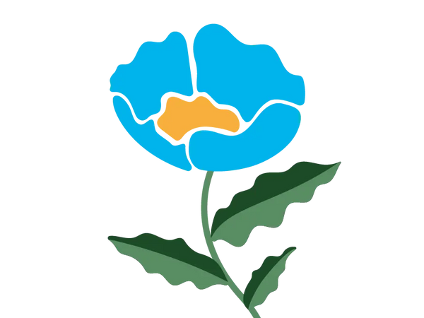 Poppy