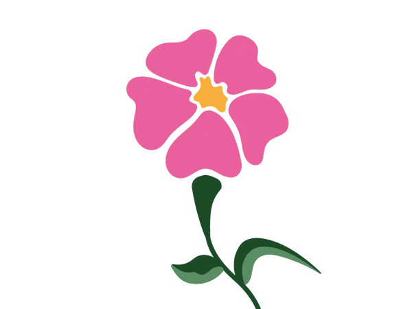 Primrose