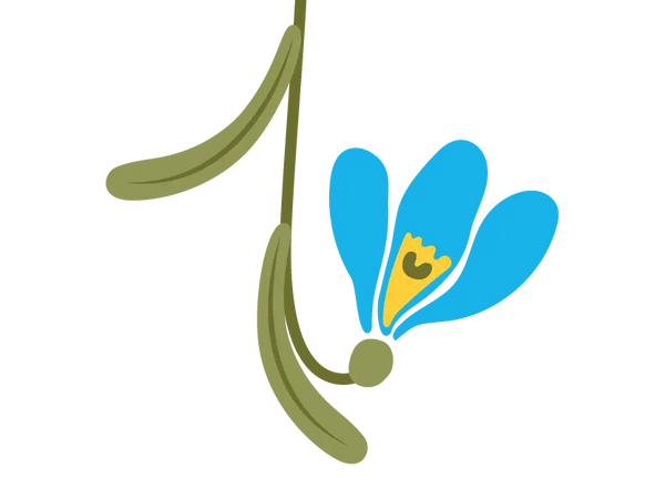 Snowdrop