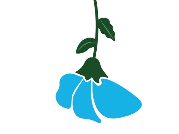 Sweet Pea