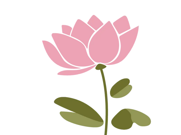 Water Lily