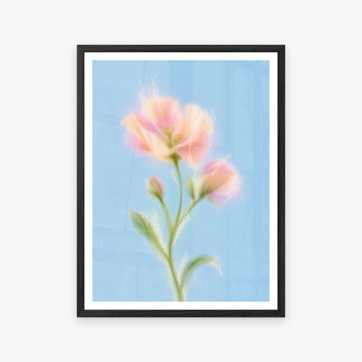 Blurred Florals II in a black frame
