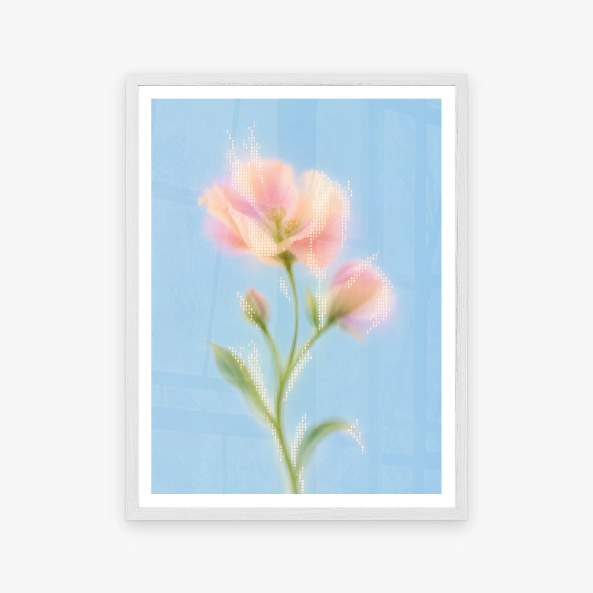 Blurred Florals II in a white frame