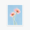 Blurred Florals III