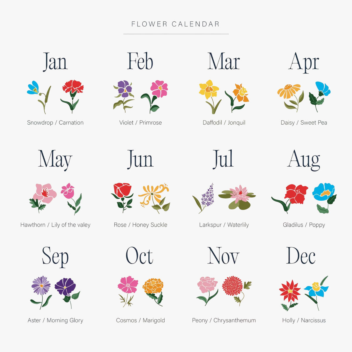 Flower calendar: the two birth flowers for each month, from January to December
